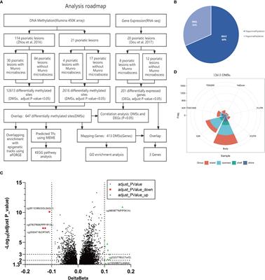 Genome-wide DNA methylation of Munro’s microabscess reveals the epigenetic regulation in the pathogenesis of psoriasis